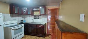 uma cozinha com um lavatório e um fogão forno superior em HOSTEL CASA MARINA em Puerto Limón