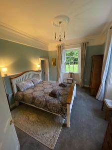 ein Schlafzimmer mit einem großen Bett und einem Fenster in der Unterkunft The Nurseries in Boyle