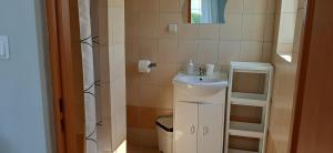 a small bathroom with a sink and a mirror at Kwatery Mielenko Patraj in Mielenko +72 photos