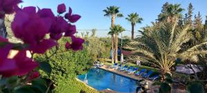 una piscina in un resort con palme e fiori viola di RIAD REDWAN a Marrakech