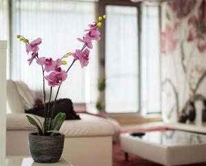 Gallery image of Luxury Apartments Burgas in Burgas