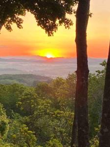 a view of the sunset from a forest with a tree at Mae’s Cottage in the Clouds in Blue Ridge