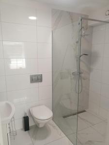 a bathroom with a shower and a toilet and a sink at Apartament 592 in Boguszów-Gorce