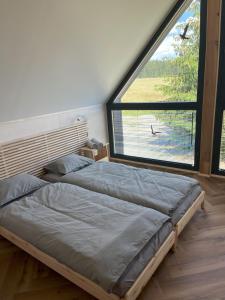 a bedroom with two beds and a large window at Polana Modraszek in Lasowka