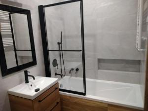 een badkamer met een bad, een wastafel en een spiegel bij Uniejów Apartament in Uniejow