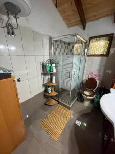 a bathroom with a shower with a toilet and a sink at villa athos in Sarti