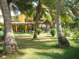 Vườn quanh Villa Jayananda