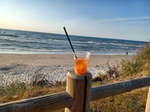 a drink sitting on a fence near the beach at Kajetanówka in Jackowo +9 photos