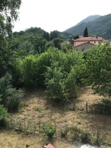 a field of trees with a house in the background at Villa Margherita in Grotte
