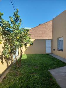 an orange tree in front of a house at Casa Dora in Olavarría