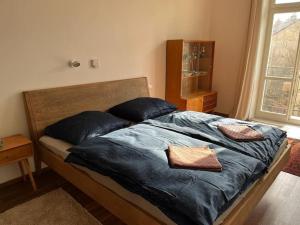 a bedroom with a bed with blue sheets and pillows at Mama's apartment in Letna in Prague