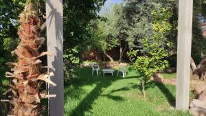 een tuin met een tafel en stoelen in het gras bij Magnifique ferme avec piscine in Marrakesh