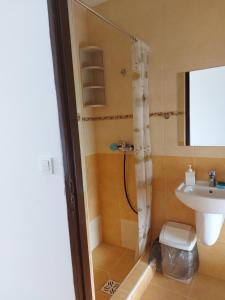 a bathroom with a shower and a toilet and a sink at Big Foot by MANGO Food&Bar in Karwia
