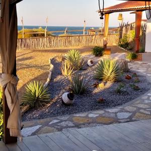 a garden with plants on a patio near the ocean at POUSADA CHALÉ PARAÍSO - Icapui in Icapuí