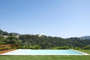 a large swimming pool in the grass with a hill in the background at CASA DAS FONTELAS in Castelo de Paiva