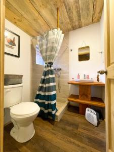 a bathroom with a toilet and a tub and a sink at Casa del Árbol - Glamping in Malalcahuello