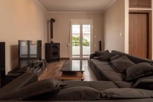 uma sala de estar com um sofá e uma televisão em Theros Apartment em Palaiochora
