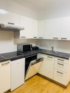 a white kitchen with a sink and a microwave at NiceApartment BEETHOVENS in Vienna