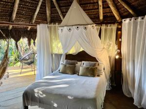 Imagen de la galería de Jungle Lodge, en Abraão 38 fotos más