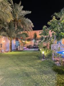 a backyard at night with palm trees and lights at استراحة زين in Al Madinah