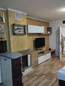 Kuchyň nebo kuchyňský kout v ubytování Apartments Vis Jaz