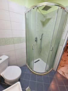 a bathroom with a shower and a toilet at Rental House Tale in Tale