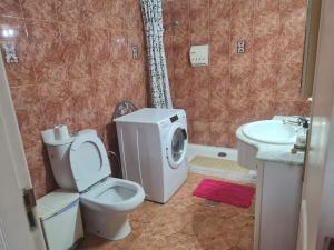 プエルト・デル・ロサリオにあるVivienda Perez Martinのバスルーム(トイレ、洗面台付)