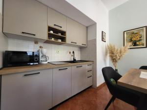 Kuchyň nebo kuchyňský kout v ubytování Comfort Apartment Smokva