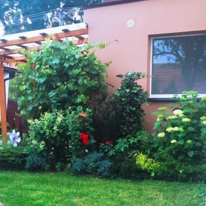 Vonkajšia záhrada v ubytovaní Private Voyage - Pool Grill Patio