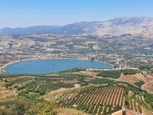 an aerial view of a lake in a vineyard at צימרים סוף העולם 3 in Ein Kinya