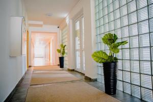 Fotografie z fotogalerie ubytování Hotel Hviezda v destinaci Diakovce