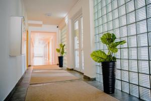 a hallway with two potted plants in a room at Hotel Hviezda in Diakovce