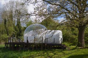 una grande tenda a cupola, adagiata su una piattaforma di legno sotto un albero. di Sleep in a bubble a Wanze