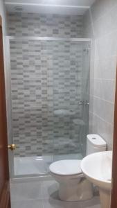 y baño con aseo, lavabo y ducha. en Acogedor alojamiento cercano a las termas, en Ourense
