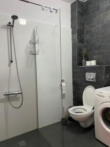 コンスタンツァにあるApartament Perleiのバスルーム(シャワー、トイレ付)