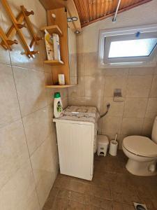 a small bathroom with a toilet and a window at Spyros comfy and cool place in Karianí