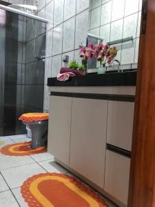 皮雷諾波利斯的住宿－Casa Cantinho Do Sossego Piri，一间带卫生间的浴室和一个带水槽的台面