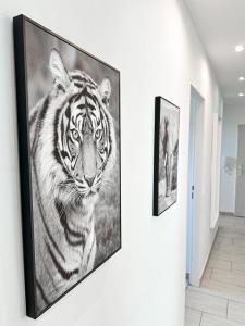a picture of a tiger on a wall at 3 Zimmer Wohnung bei Frankfurt / Neu renoviert in Egelsbach