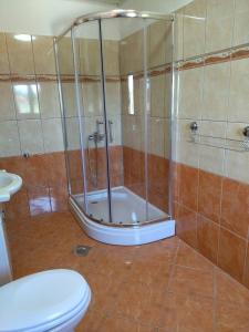 ein Bad mit einer Dusche und einem WC in der Unterkunft Apartments with a parking space Ugljan - 8527 in Ugljan