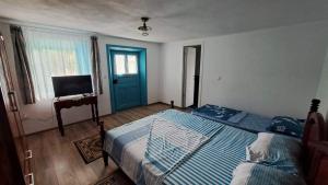 茹里洛夫卡的住宿－Pensiunea Casa Golovita，一间卧室配有一张床和一台电视