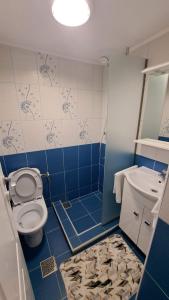 a blue and white bathroom with a toilet and a sink at Pensiunea Casa Golovita in Jurilovca