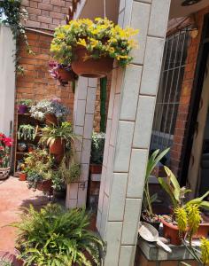 Une bande de plantes en pot sur un bâtiment en briques dans l'établissement Casa Cultura, à Lima