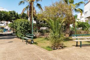 dois bancos verdes num parque com palmeiras em Appartement chaleureux et calme, Parking, Jardin em Agadir