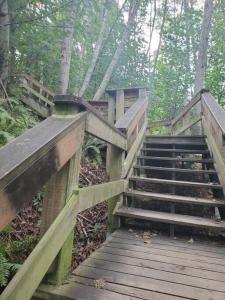 a wooden staircase in a forest with a wooden at BlueBack BeachFront 2-Bedroom Private Apartment in Nanaimo