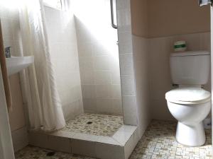 a bathroom with a toilet and a shower with a shower curtain at Ipswich City Motel in Ipswich