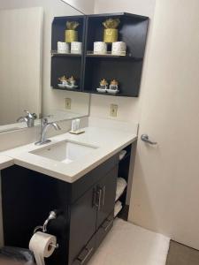 a bathroom with a sink and a mirror at Ultimate Escape/Free Parking in Houston