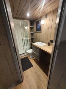 a bathroom with a sink and a toilet and a shower at Hytte Narie 2 in Bogaczewo