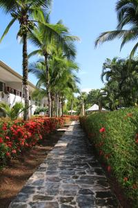 a stone pathway with palm trees and flowers at Family 2bd apt near Quepos/Manuel Antonio in Quepos