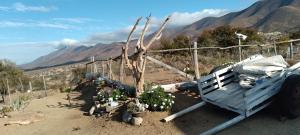 un wagon bleu avec des plantes, une clôture et un arbre dans l'établissement Alojamiento Rural Polita, Agroturismo y Patrimonial, à Petorca