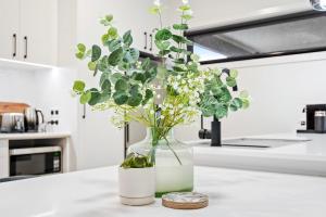 a vase with flowers in it on a kitchen counter at City Edge 2 Apartment - Wheelchair Accessible in Mount Gambier